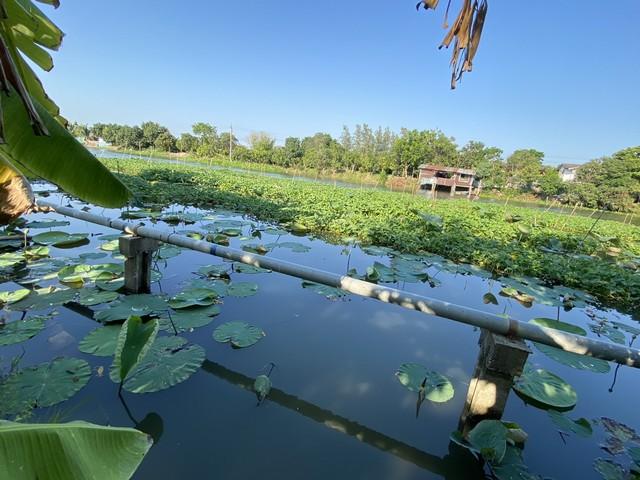 ขายที่ดิน399.7ตร.ว.ย่านนครปฐมศาลายาพุทธมณฑลติดถนน4เลนด้านหลังติดคลองนราภิรมย์