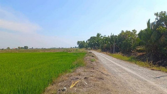 ขายที่ดิน/เเบ่งเเปลงขาย ใกล้ตัวเมืองสุพรรณ น้ำ/ไฟ พร้อม