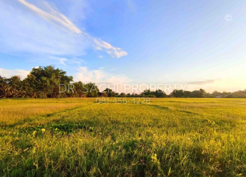 ขายที่ดิน 5-3-66.2 ไร่ ใกล้ศูนย์ราชการ หลังสนามบิน เชียงราย