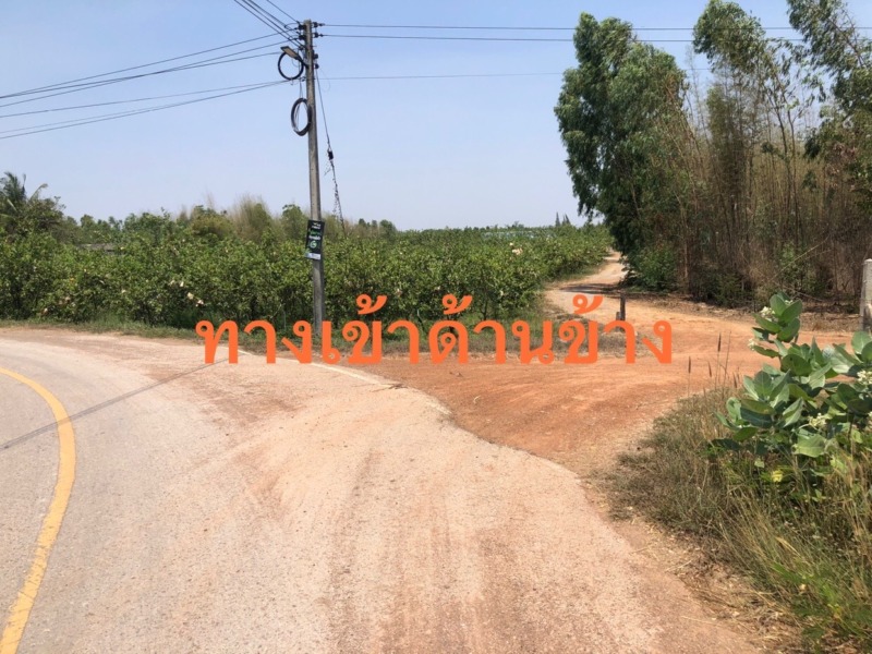 ขายที่ดิน เนื้อที่ 15-2-43 ไร่ (ครุฑแดง)