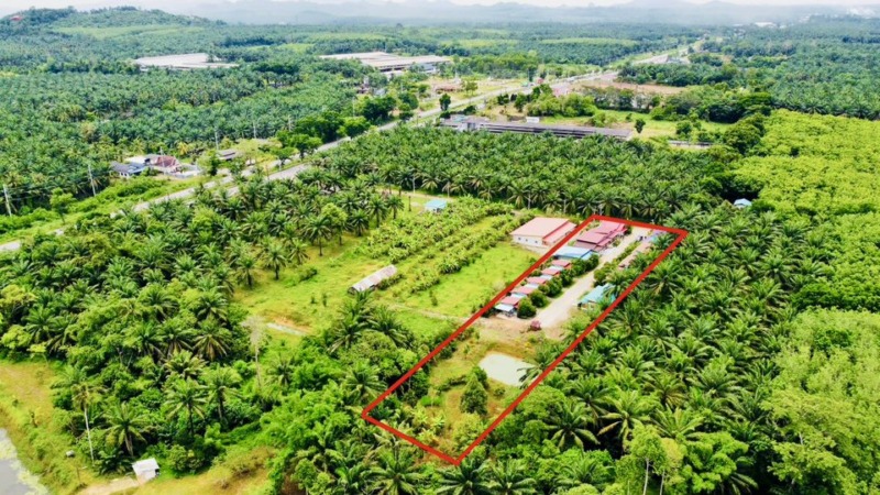 ขายกิจการ รีสอร์ท+บ้าน ท่าแซะ ชุมพร