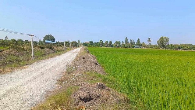 ขายที่ดิน/เเบ่งเเปลงขาย ใกล้ตัวเมืองสุพรรณ น้ำ/ไฟ พร้อม