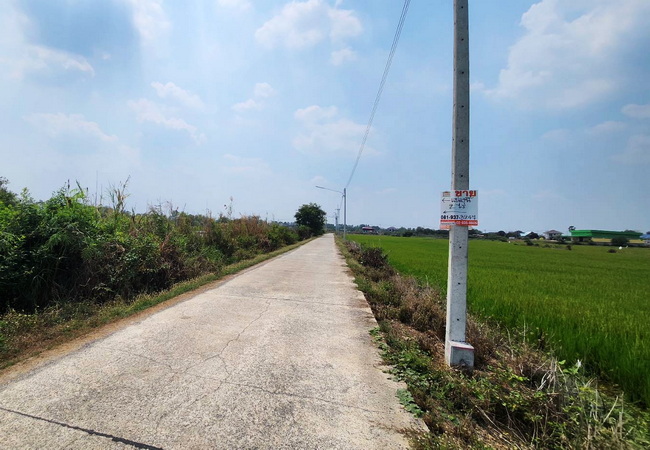 ขายที่ดิน บางไทร อยุธยา ใกล้คลองพระยาบันลือ เนื้อที่ 2 ไร่ ราคาถูก