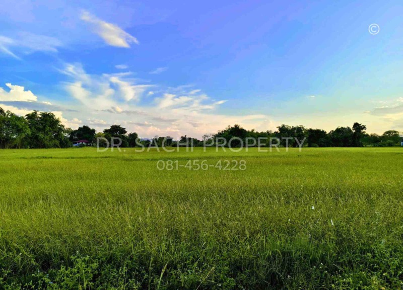 ขายที่ดิน 5-3-66.2 ไร่ ใกล้ศูนย์ราชการ หลังสนามบิน เชียงราย