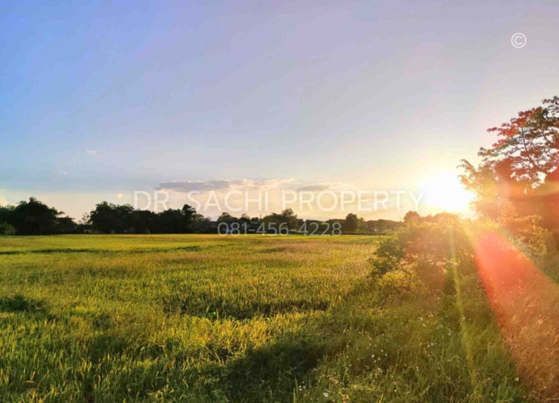ขายที่ดิน 5-3-66.2 ไร่ ใกล้ศูนย์ราชการ หลังสนามบิน เชียงราย