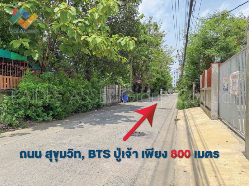ที่ดิน ซอย สุขุมวิท 115 BTS ปู่เจ้า เทพารักษ์ สมุทรปราการ