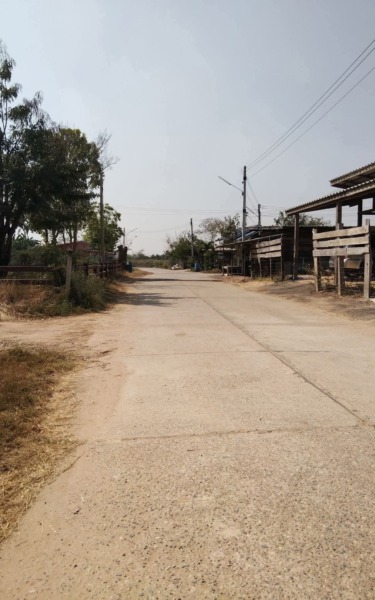 ขายที่ดินบ้านดอนตำบลสีมุมอำเภอเมืองนครราชสีมา