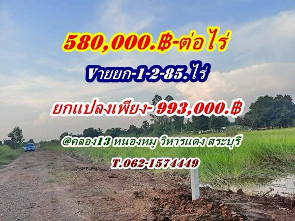 ที่ดินถูกมากใกล้ชุมชนมีเพื่อนบ้านที่คลอง13-หนองหมู-สระบุรี.T.062-1574449