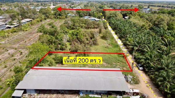 ลดราคาที่ดินคลอง12-หนองเสือ-ถมแล้วน้ำไฟพร้อม -T.062-1574449
