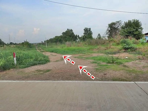 2 แปลงสุดท้าย ขายถูกมากที่ดินโซนวังน้อย – T.062-1574449