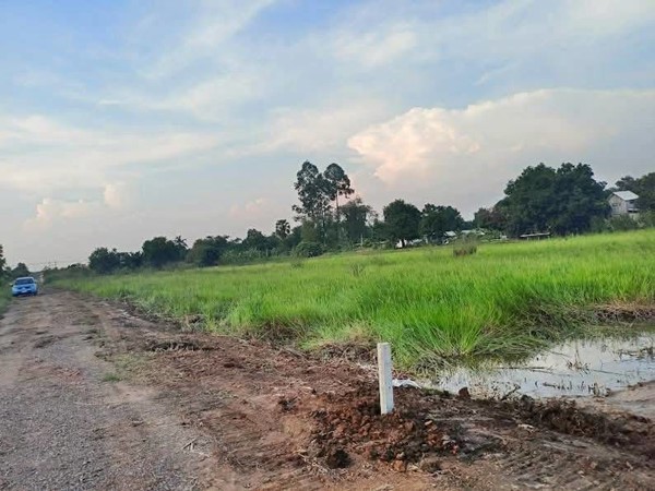 ที่ดินถูกมากใกล้ชุมชนมีเพื่อนบ้านที่คลอง13-หนองหมู-สระบุรี.T.062-1574449
