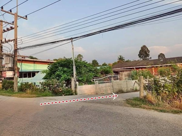 ที่ดินถูกมากใกล้ชุมชนมีเพื่อนบ้านที่คลอง13-หนองหมู-สระบุรี.T.062-1574449
