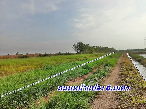 2 แปลงสุดท้าย ขายถูกมากที่ดินโซนวังน้อย – T.062-1574449