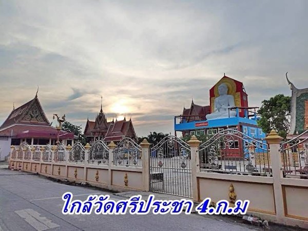 2 แปลงสุดท้าย ขายถูกมากที่ดินโซนวังน้อย – T.062-1574449