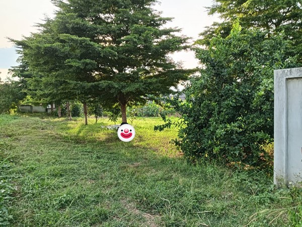 ขายที่ดิน อำเภอเมืองพะเยา 1 ไร่ โฉนด พร้อมโอน โทร 0817830178