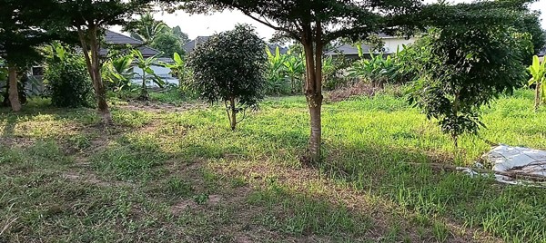 ขายที่ดิน อำเภอเมืองพะเยา 1 ไร่ โฉนด พร้อมโอน โทร 0817830178
