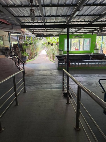ขายบ้านเดี่ยว 1 ชั้น หมู่บ้านหนองสรวง อ.ศรีประจันต์ สุพรรณบุรี ใกล้โรงเรียน โรงพยาบาล ตลาด โทร 0869220218