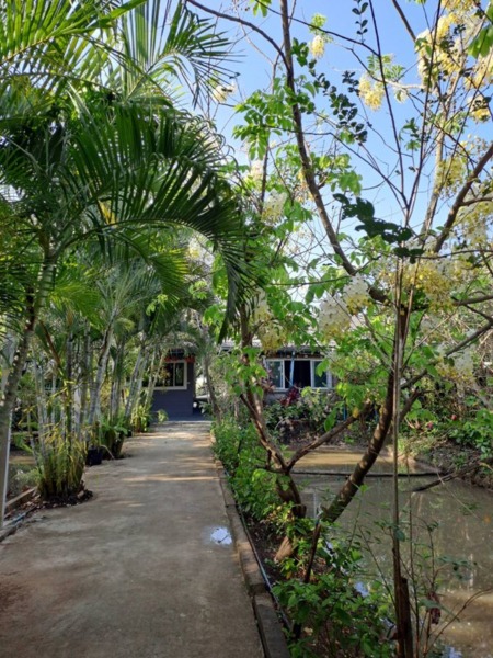 ขายบ้านเดี่ยว 1 ชั้น หมู่บ้านหนองสรวง อ.ศรีประจันต์ สุพรรณบุรี ใกล้โรงเรียน โรงพยาบาล ตลาด โทร 0869220218