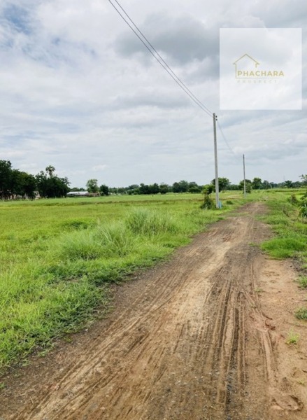 ขายที่่ดินสำหรับปลูกบ้านพักอาศัย อยู่ใกล้แหล่งชุมชน เดินทางสะดวก ใกล้ตัวเมืองบุรีรัมย์