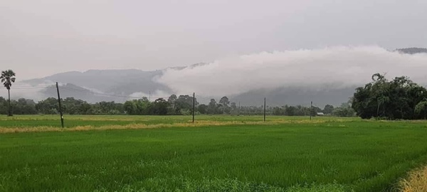 ขายด่วน! แบ่งขายที่ดิน 200 ตรว. อ.เมือง จ.นครนายก วิวสวยที่สุดในเขาพระ อากาศดีมาก มีเขาล้อมรอบ โทร 080-469-6692