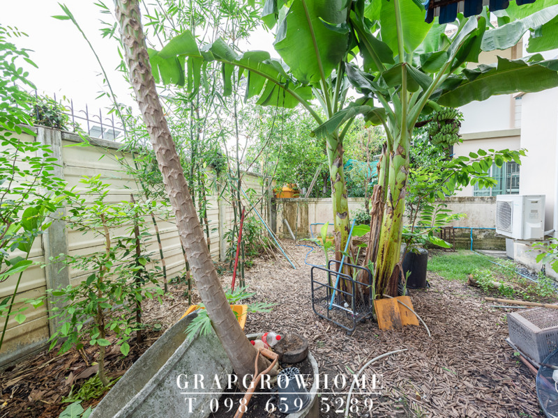 ขายบ้านเดี่ยวใกล้สนามบิน พื้นที่เยอะ 56.2 ตร.ว. พร้อมอยู่ ถูกที่สุดในโครงการพฤกษา ปูริแสนแก้ว กิ่งแก้ว 37 เดินทางสะดวก เงียบสงบ ปลอดภัย
