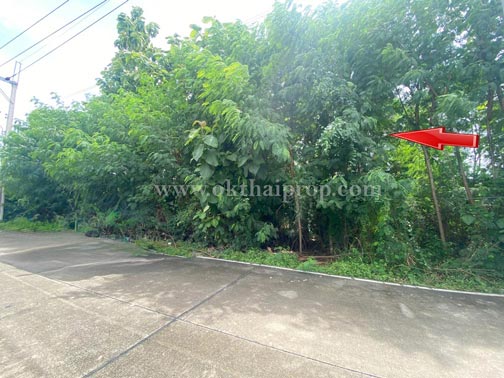 ที่ดิน ไทรม้า ซอย 17 เมืองนนทบุรี
