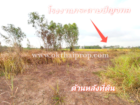 ที่ดิน ถนน3111 บางไทร อยุธยา