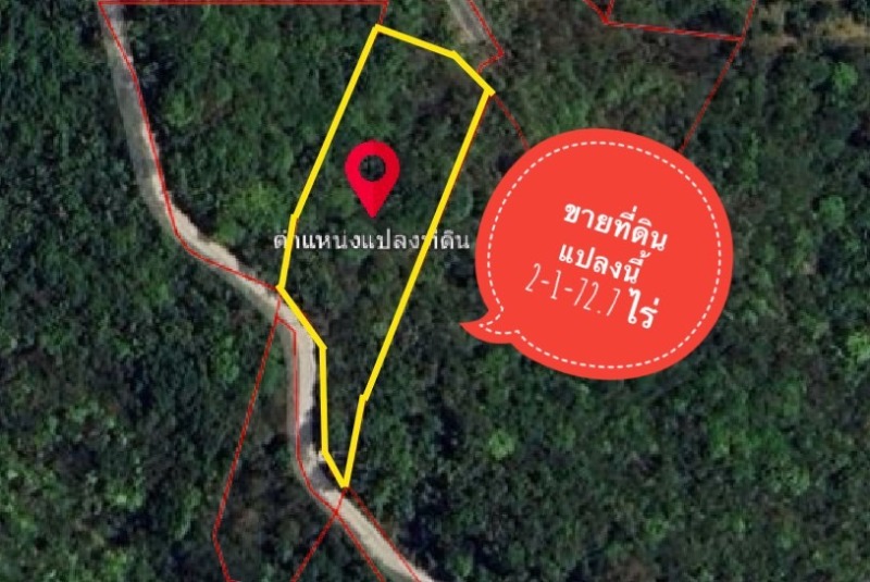 ขายด่วน ที่ดินเกาะสมุย 2-1-72.7 ไร่ ใกล้หาดแม่น้ำ เกาะสมุย สุราษฎร์ธานี
