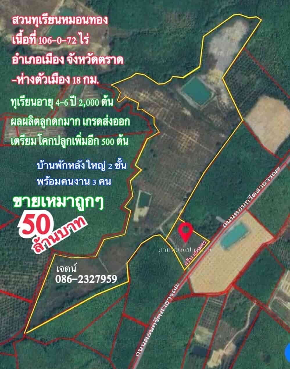 ขายราคาถูก สวนทุเรียนโฉนดรวม 106 ไร่ อ.เมือง จ.ตราด