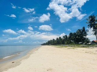 ที่ติดทะเลหายาก ติดหาดยาว 47 +20 เมตร1ไร่ 24วา ขาย 3 ล.