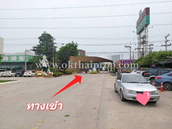 ที่ดิน ถนน3111 บางไทร อยุธยา