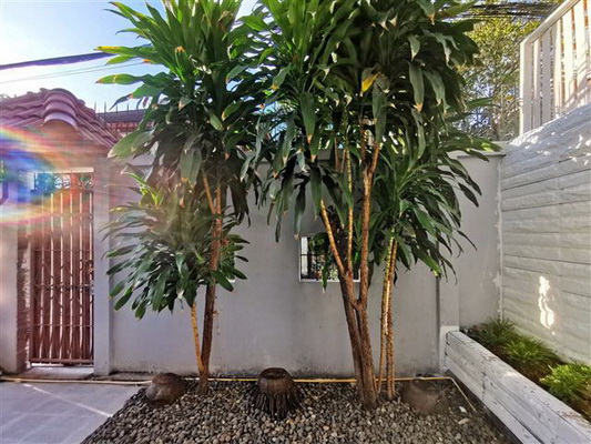 [ให้เช่า] FOR RENT SEMI DETACHED HOUSE ONNUT / 3 bedrooms 4 bathrooms / 33 Sqw. 140 Sqm. **41,000** JUST WALK 15 MIN TO BTS ONNUT