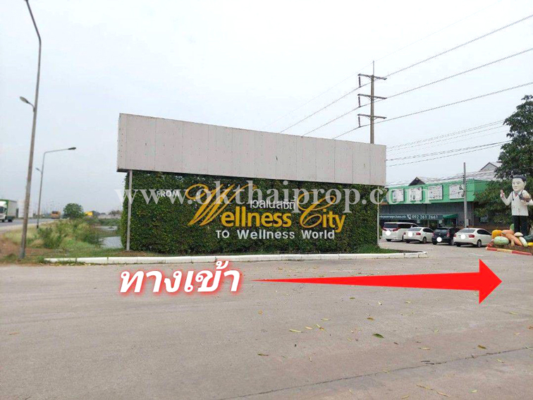 ที่ดิน ถนน3111 บางไทร อยุธยา