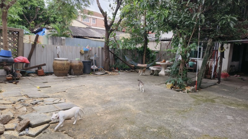 บ้านถนนลาดพร้าวซอย 41 ใกล้รถไฟฟ้าสายสีเหลือง