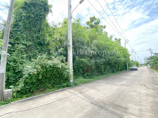 ที่ดิน ซอยไทรม้า เมืองนนทบุรี