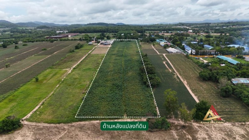 ที่ดิน นิคมพัฒนา ระยอง ทำเลทอง ทำเลอุตสาหกรรม สีม่วงลาย ใกล้ถนน 36