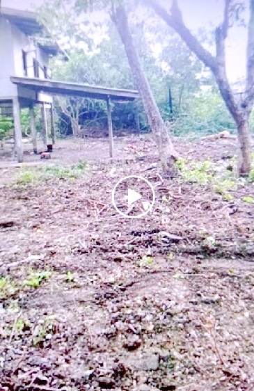 ขายที่ดิน พร้อมบ้านไม้ 201ตร.วา.ถูกกว่าประเมินกรมธนารักษ์ MRTบางชัน 1.6 กม. 841ตร.ม. MRT เศรษฐบุตรบำเพ็ญ . ถ.เจริญพัฒนา