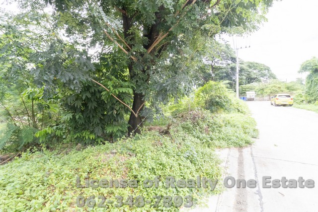 ขายที่ดินแปลงใหญ่ 316 ตร.ว. คู้บอน 40 ทำเลดี ใกล้ทางด่วน-รถไฟฟ้า