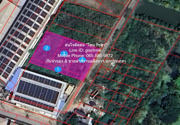 รหัส: DSL-746 ประกาศขาย ที่ดิน ขายที่ดินเปล่า ราคาดี (สี่เหลี่ยมผืนผ้า) ผังสีเหลือง ซ.อ่อนนุช 80 แยก 5 (360 ตร.ว.) ราคา