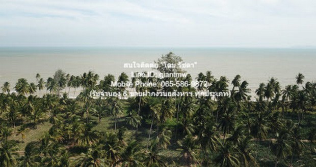 ที่ดิน ให้เช่าระยะยาวที่ดินแปลงใหญ่ 100 ไร่ ติดทะเลบางสะพาน (ตรงข้ามเกาะทะลุ) ราคา 1,500,000 บาท/เดือน พื้นที่เท่ากับ 10