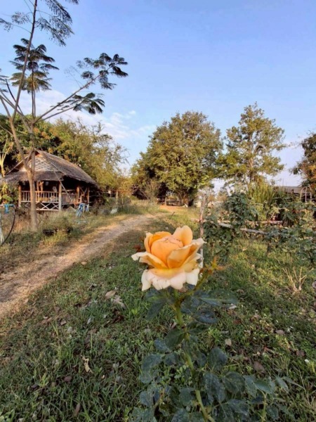 ที่ดิน เนื้อที่รวม 15-0-12.6 ไร่ ตำบลโคกสลุง อำเภอพัฒนานิคม จังหวัดลพบุรี