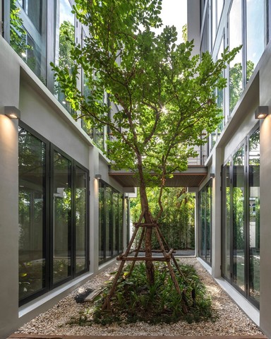 Home Office Stand Alone Sukhumvit 62 เพียง 450 m from BTSบางจาก