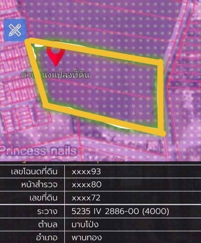 ขายที่ดินอมตะนครเฟส10 #พานทองชลบุรี บนเนื้อที่ 14 ไร่ และ 6 ไร่ ผังม่วงลาย