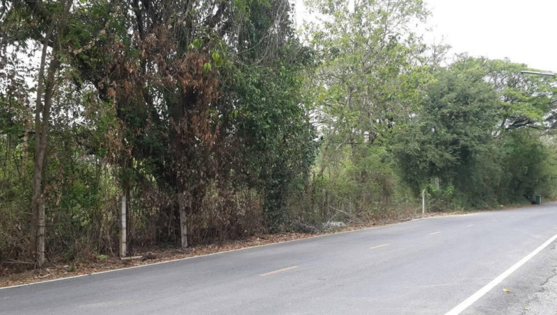 ที่ดินติดแม่น้ำแควใหญ่ กาญจนบุรี 5-3-66 ไร่