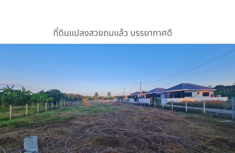 ขายถูกมาก!! ที่ดินติดถนน 2 ด้าน ทำเลทอง อ.สารภี จ.เชียงใหม่ ใกล้ห้าง สนามบิน ตลาด โรงเรียน โรงพยาบาลฯ