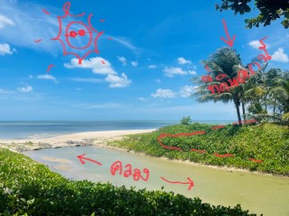 ที่ติดทะเลหายาก ติดหาดยาว 47 +20 เมตร1ไร่ 24วา ขาย 3 ล.