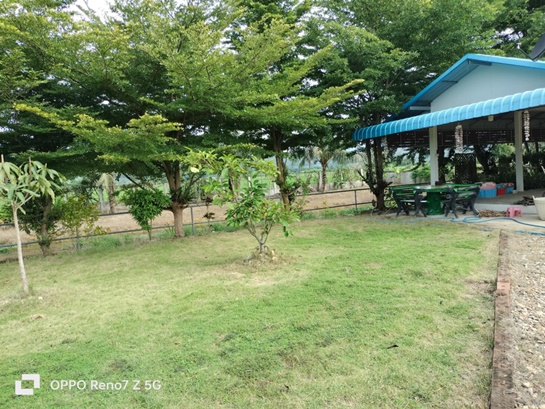 #ขายบ้านพร้อมที่ดินและสวนผลไม้มากมาย บนเนื้อที่ 1 ไร่ 1 งาน 89 ตารางงาน อำเภอพร้าวเชียงใหม่ ห่างที่ว่าการอำเภอเพียง 4.7 กม