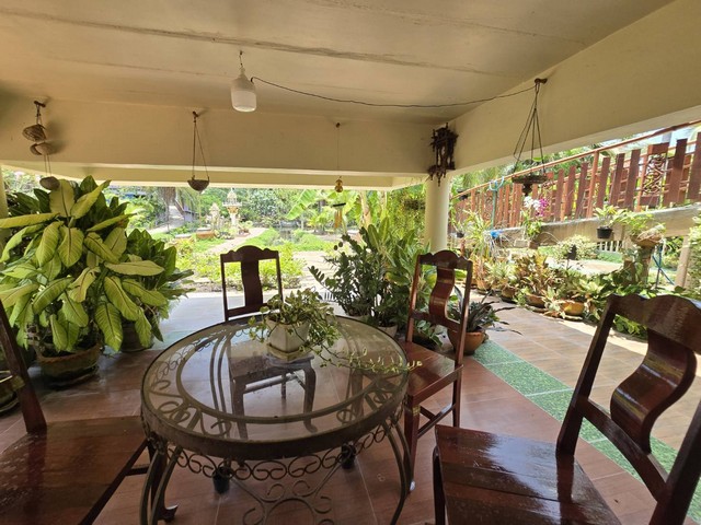 บ้าน บ้านเดี่ยว ท่าคา อัมพวา 50000 B. 2ห้องนอน2BATHROOM พ.ท. 353 Square Wah ราคาดีเยี่ยม สมุทรสงคราม
