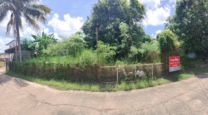 ขายที่ดิน 140 ตรว. ตำบลกลาง
