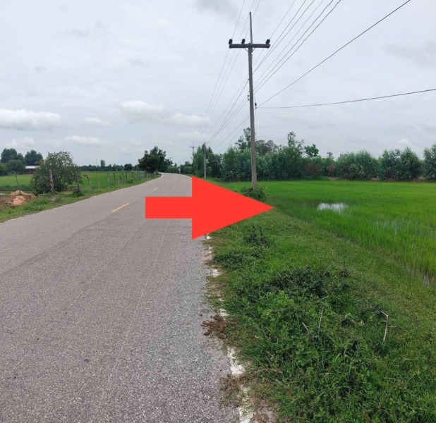 ขายที่นา 33 ไร่ บ้านส้มโฮง ตำบลหินกอง